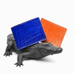 Wallet in Authentic Alligator Gainesville Blue or Orange