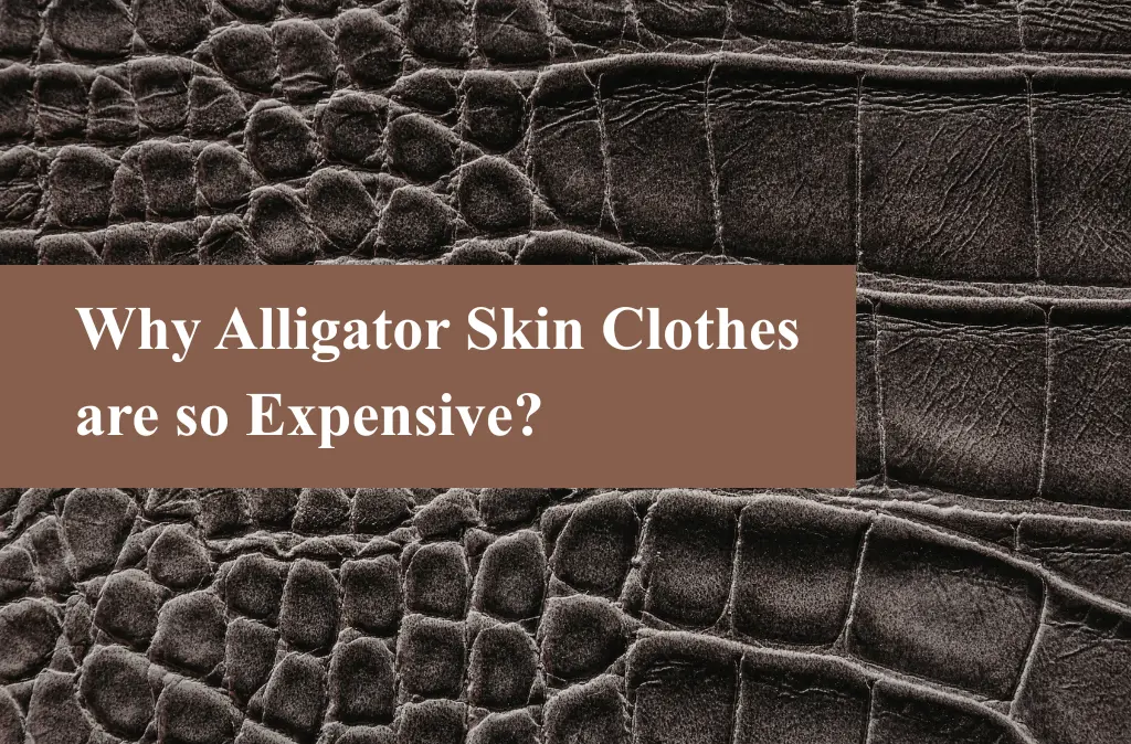 Why Alligator Skin Clothes are so Expensive