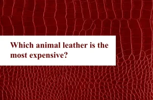 Which animal leather is the most expensive?