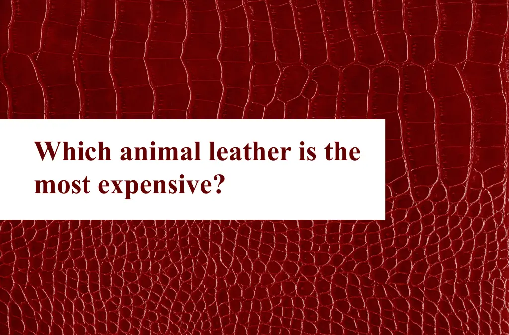 Which animal leather is the most expensive?