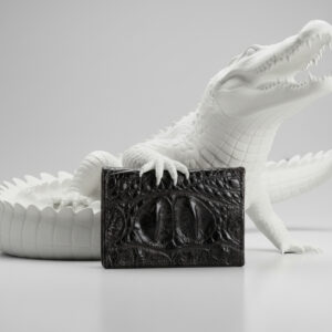 Card Holder / Mini Wallet