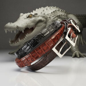 Alligator Extra Size Belt