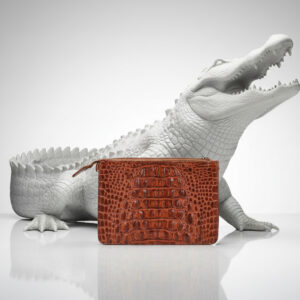 Juno Clutch & Cross Body Bag