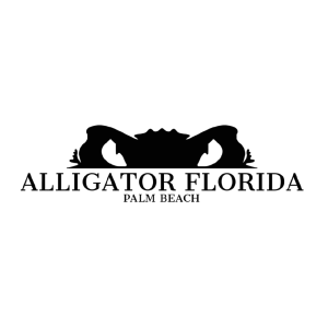 Picture of Alligator Florida