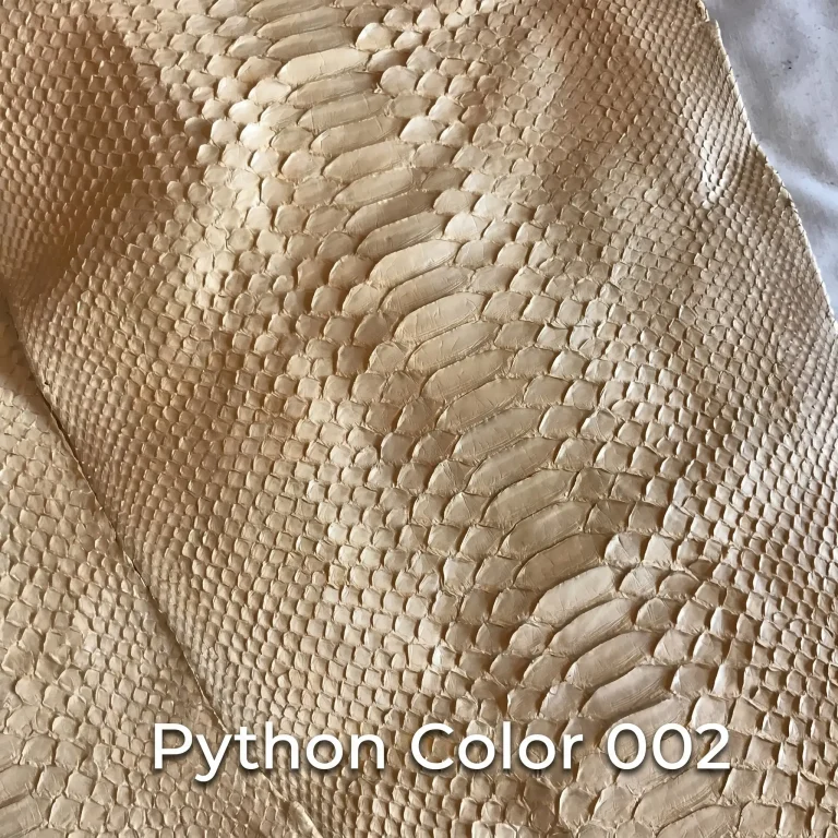Python Color 02