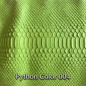 Python Color 04