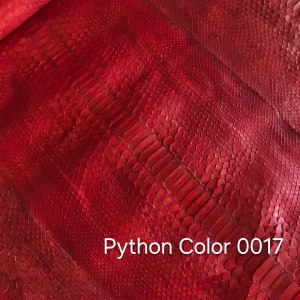 Python Color 17