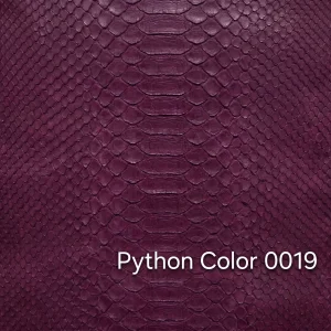 Python Color 19