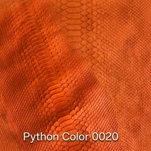 Python Color 20