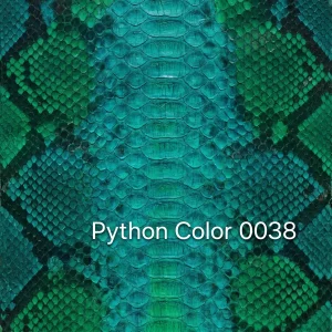 Python Color 38