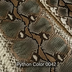 Python Color 42