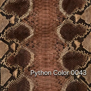 Python Color 43