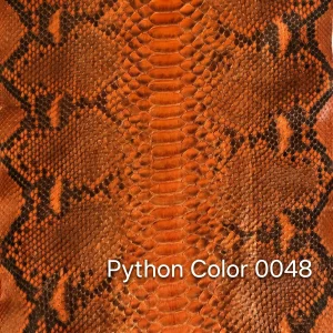 Python Color 48