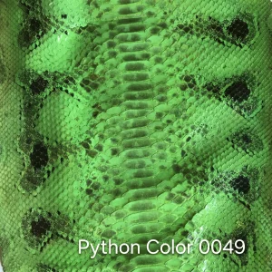 Python Color 49