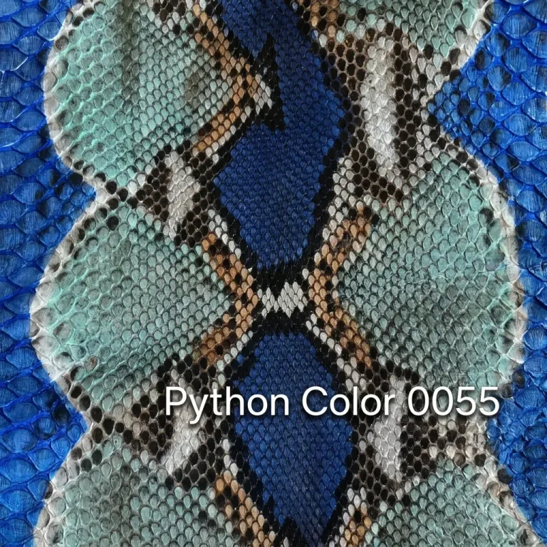Python Color 55