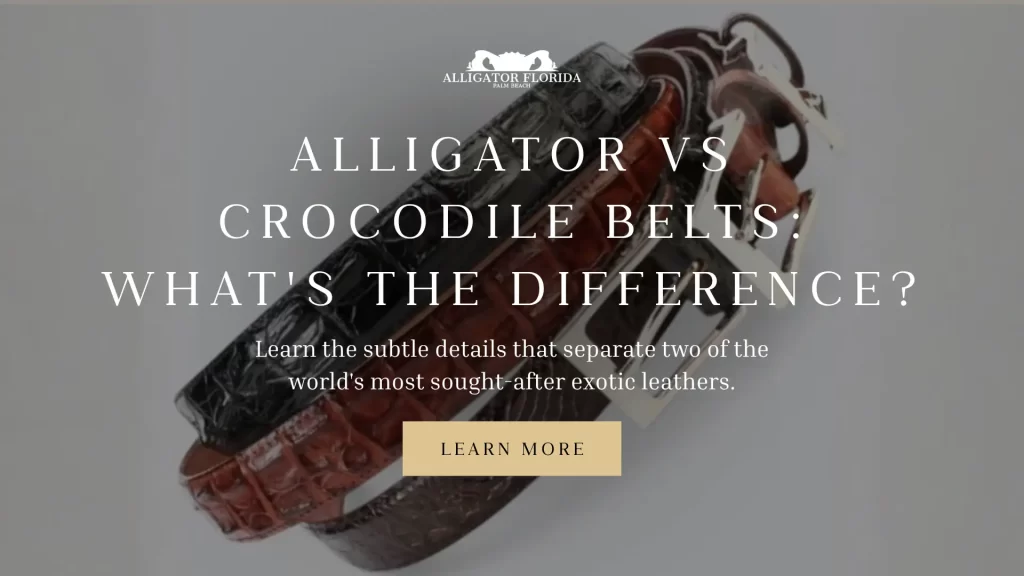 Real alligator belt and crocodile skin belt displayed side by side.