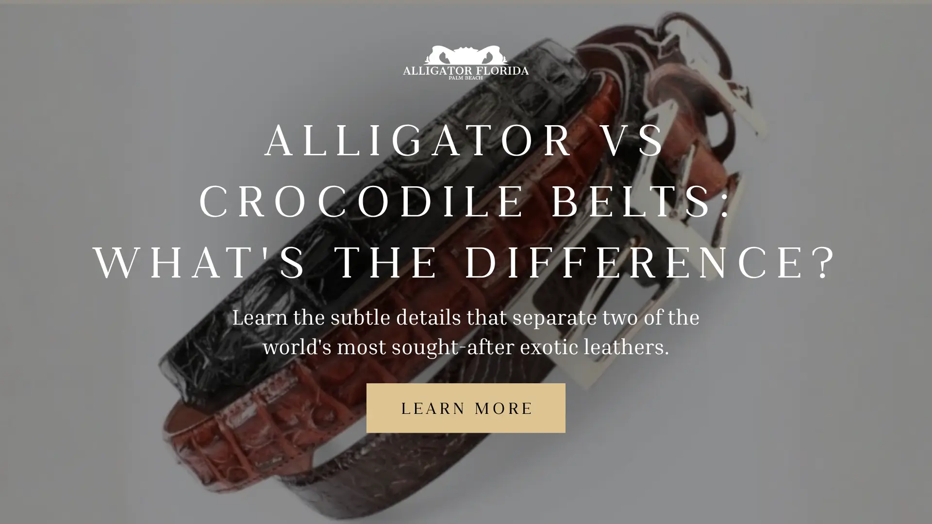 Real alligator belt and crocodile skin belt displayed side by side.