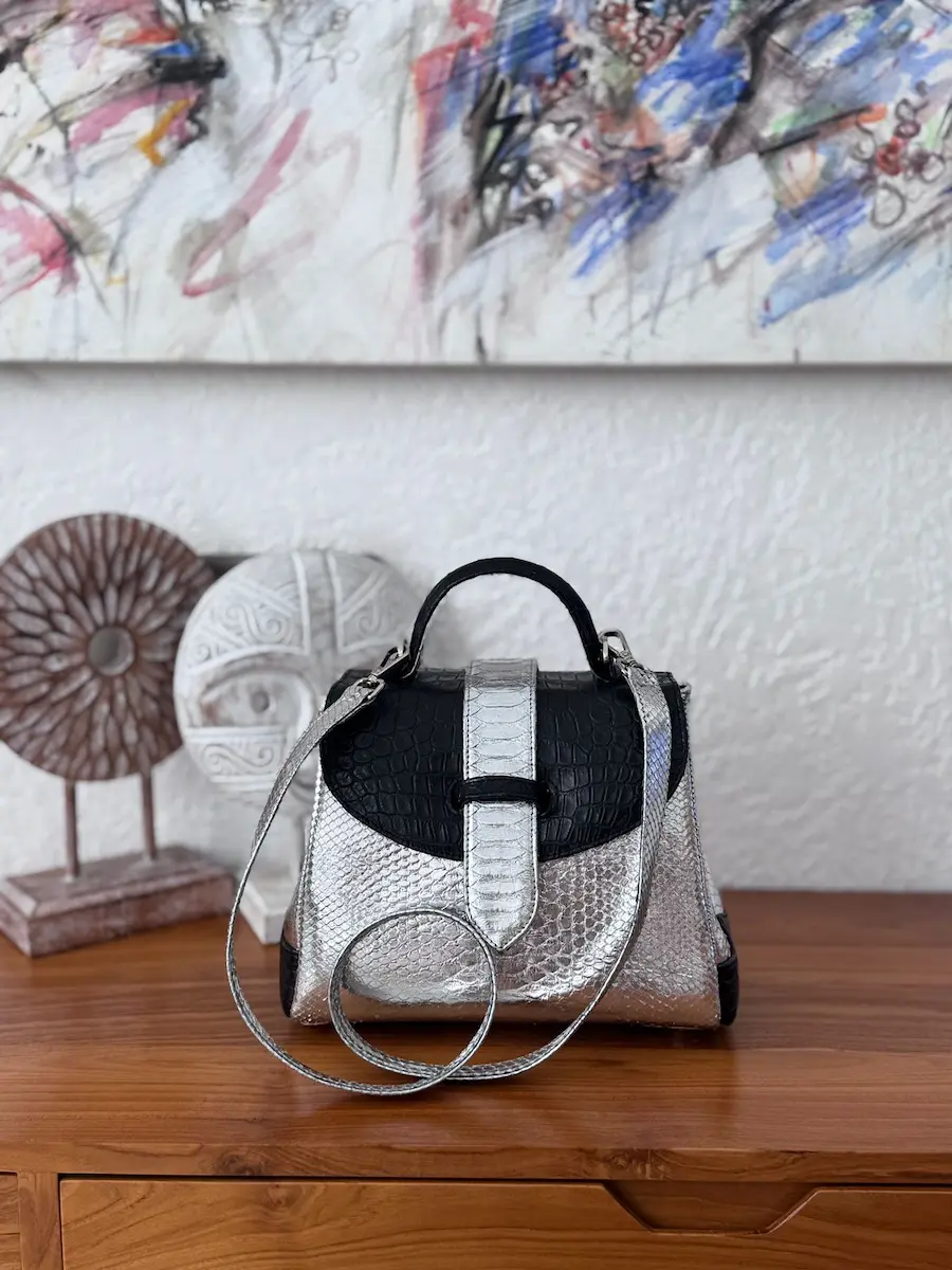 clare hybrid bag
