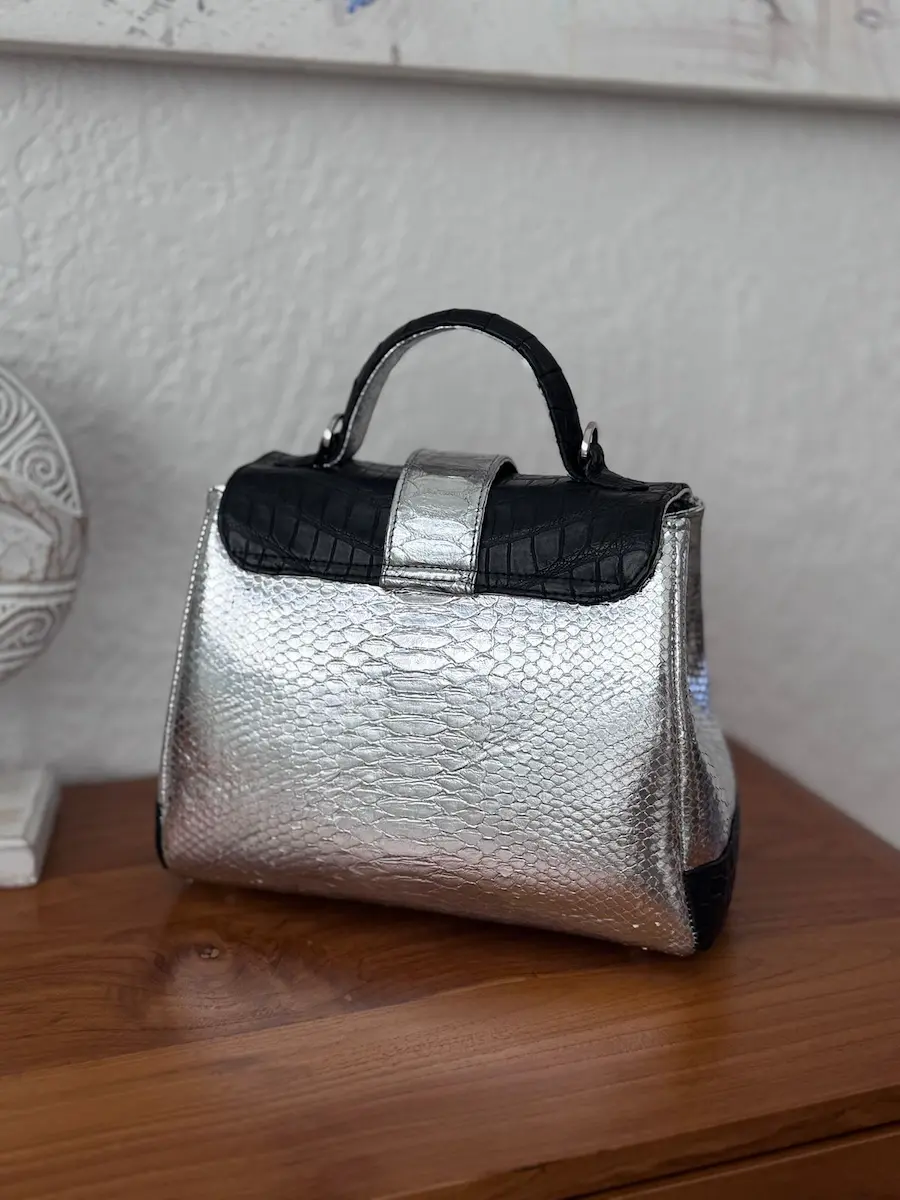 clare hybrid bag