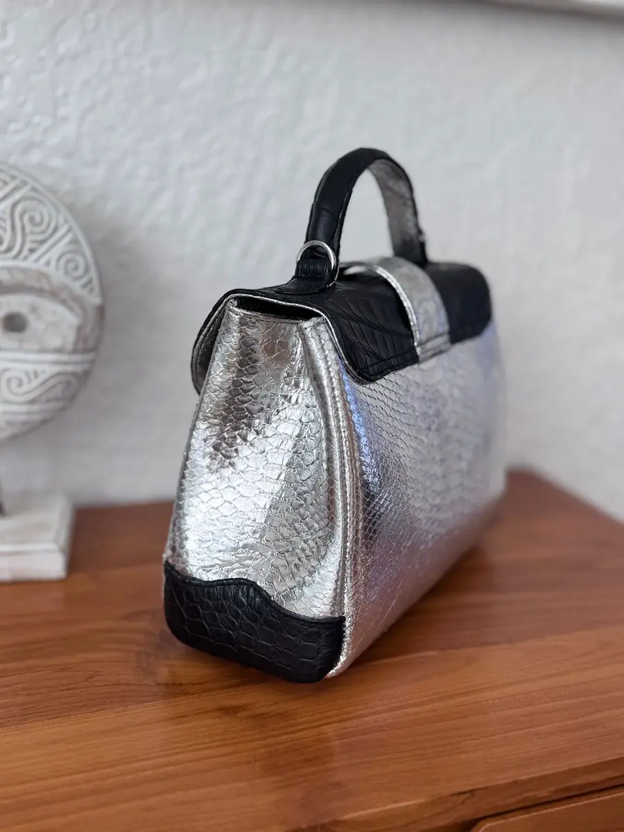 clare hybrid bag