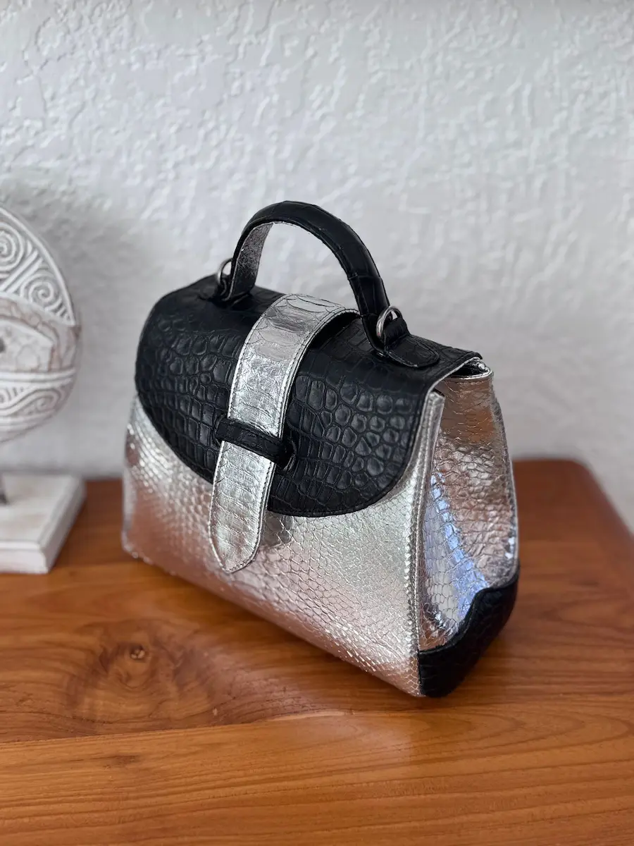 clare hybrid bag