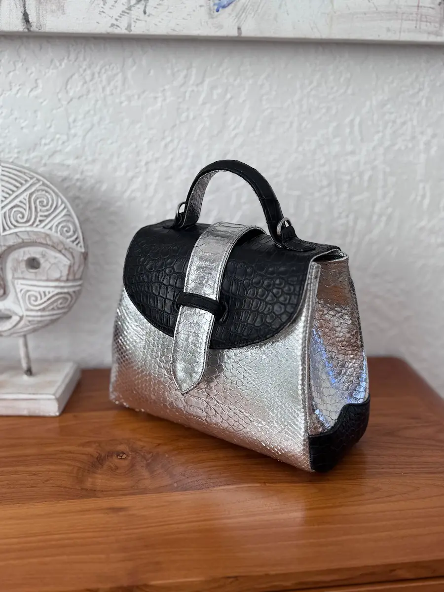 clare hybrid bag