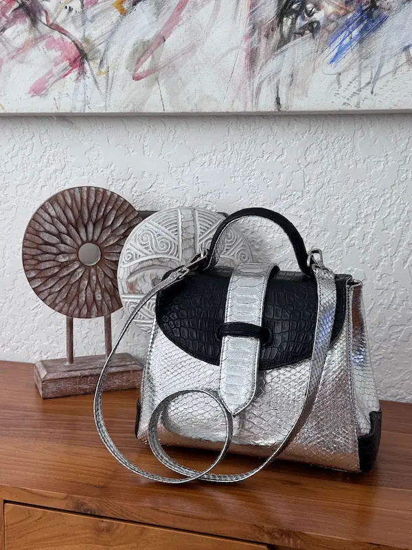 clare hybrid bag