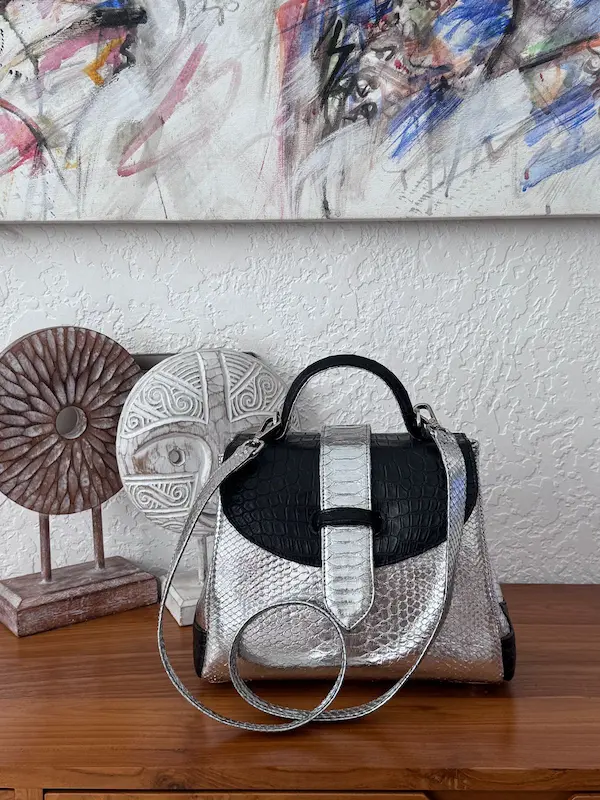 clare hybrid bag
