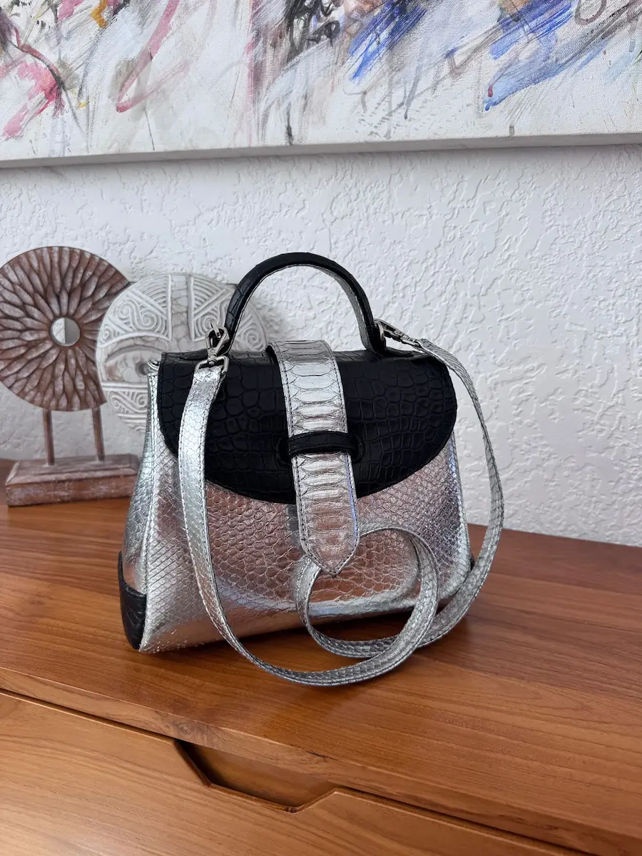 clare hybrid bag