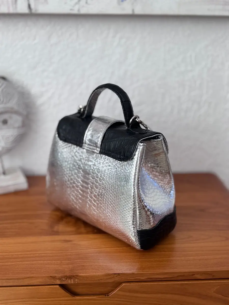 clare hybrid bag