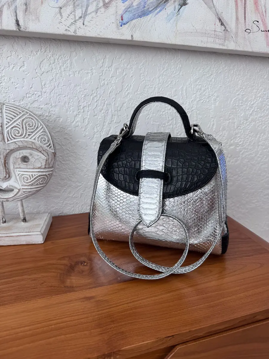 clare hybrid bag