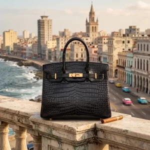 yané crocodile bag