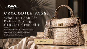 Crocodile Bags: What to Look for Before Buying Genuine Crocodile